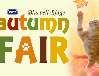 Bluebell Ridge Autumn Fair