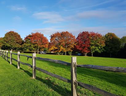 Photograph of wooden fence before a green lawn and row of red, autumnal trees.