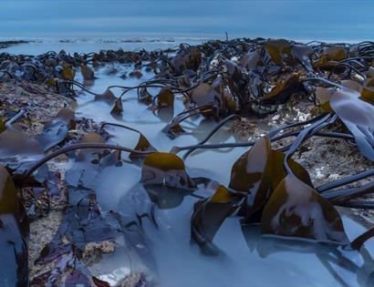 British Wildlife Photography Awards Exhibition