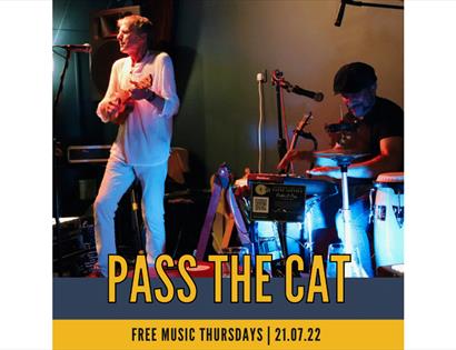 poster for pass the cat shows man on stage in white outfit with ukelele and drummer in the background