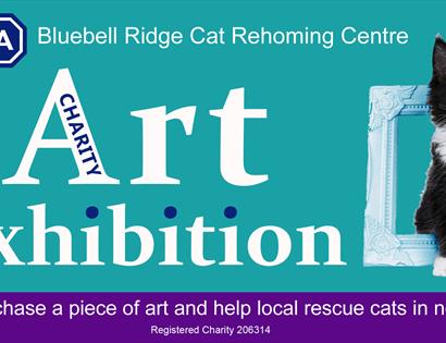 Bluebell Ridge Charity Art Exhibition