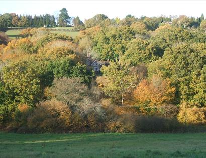 Autumn colour