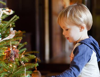 Christmas at Bateman's