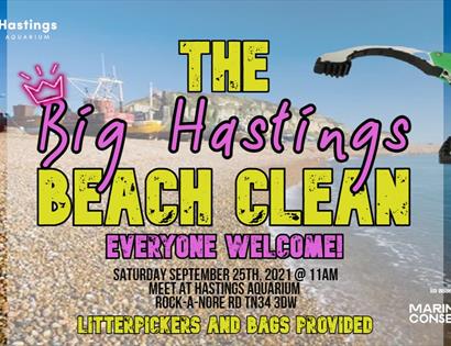 a poster for Hastings beach clean. Background photograph of the stade fishing beach. Pink and Yellow writing reads the big hastings beach clean, every
