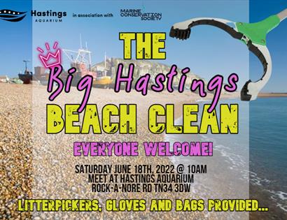 poster for the big hastings beach clean, text as in the description, background image of stade fishing beach