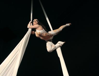Circus Berlin Aerial artist