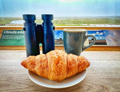 Birds & Breakfast Morning