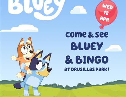 poster illustrated cartoon shows two dogs, one on top of the others shoulders. standing on grass with the words 'Bluey' written in clouds.