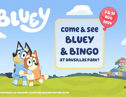 Bluey & Bingo at Drusillas Park