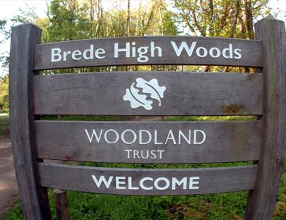 Brede High Woods