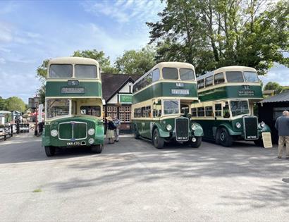 vintage green double decker buses.