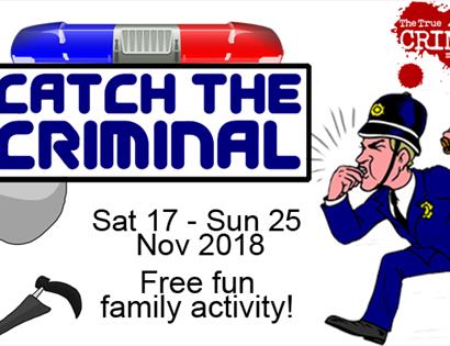 Catch the Criminal
