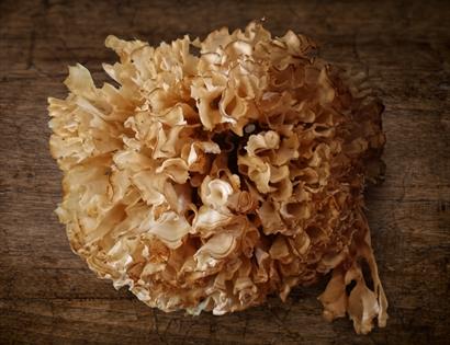 Food Event Hastings , Webbes, Wild Mushroom, eating out 1066 Country
