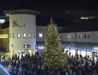 Priory Meadow