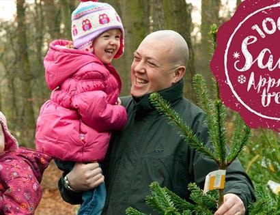 Bedgebury Pinetum Christmas Tree Sales