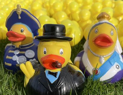 rubber ducks at Tibbs Farm