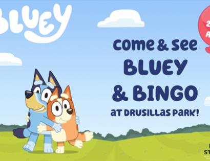 poster for bluey and bingo at drusillas park. Shows two cartoon dogs standing a field hugging each other