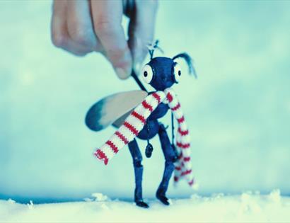 Picture of a puppet ant