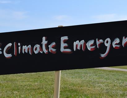 Creativity in Protest