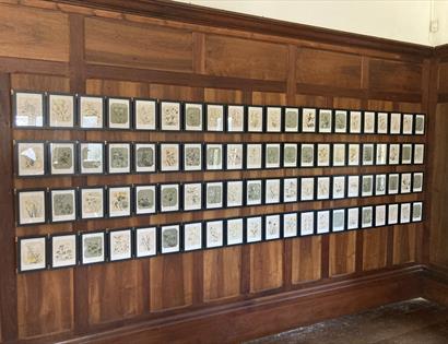 small framed pictures hanging on a wooden wall