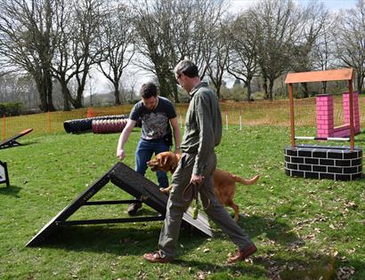 a dog with two trainers doing agility training.