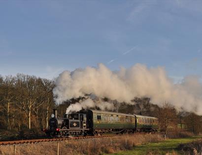 a photograph of steam train with clouds of steam as it passes the countryside.