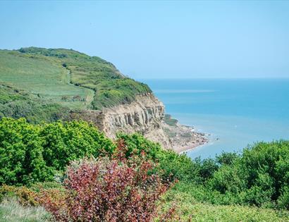 Hastings Country Park Nature Reserve