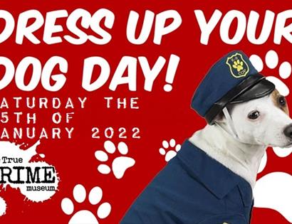 Dress Up Your Dog Day 2022
