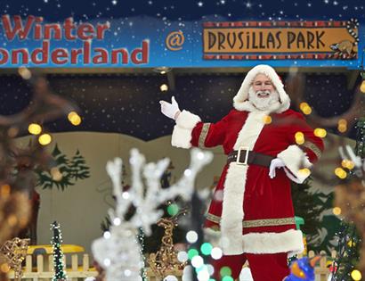 Winter Wonderland Illuminations