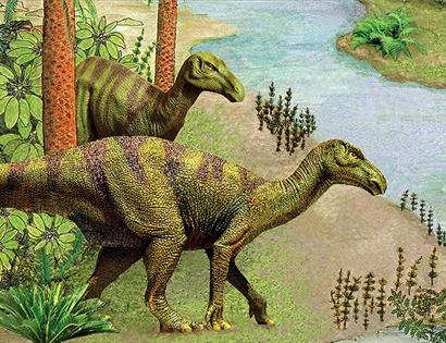 Understanding Fossils-An illustrated Talk