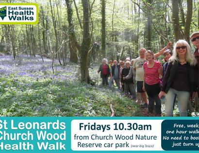 St Leonards Church Wood Health Walk