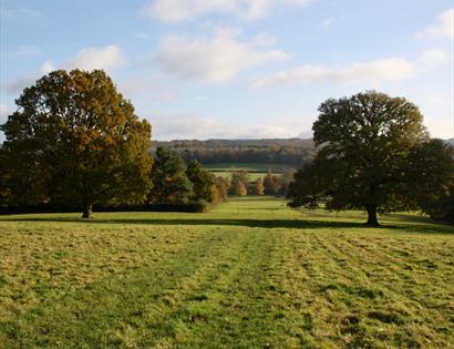 Autumn walk with a ranger
