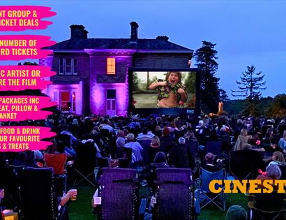 Outdoor Cinema – The Goonies