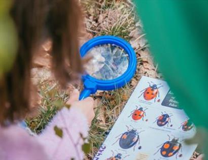 Centenary Bioblitz