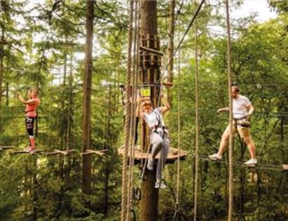 Go Ape