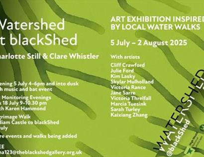 Watershed at Blackshed Gallery