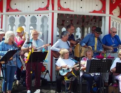 The Big Ukelele Gig – B.U.G.S.