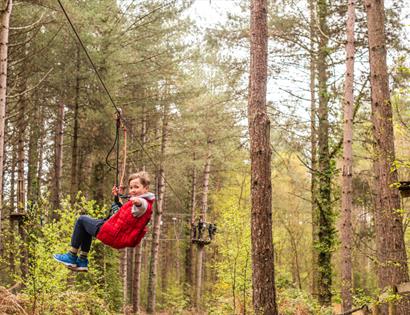 Child riding a zip wire through tall pine trees at Go Ape Bedgebury, surrounded by forest platforms and spring foliage.