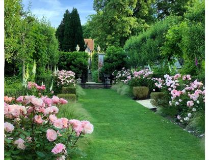 Lawn pathway lined with pink roses and lush greenery in a formal garden at Pashley Manor Gardens.