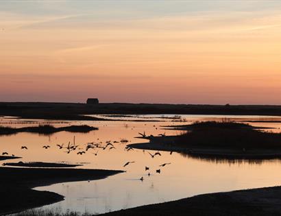 Rye Harbour Nature Reserve at sunset with calm water, silhouettes of birds flying and distant marshland.