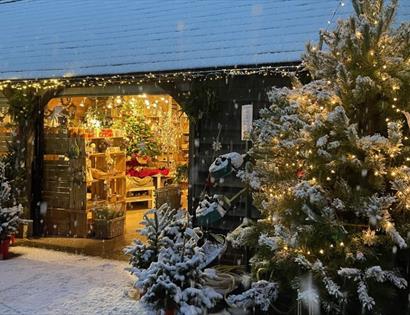Snow-covered Catsfield Christmas tree farm with lit trees and a shop glowing with festive lights.