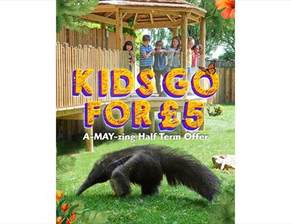 Children on a wooden structure look down at a giant anteater, with “Kids Go For £5” half-term offer text overlay.