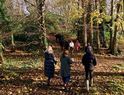 Group walking through autumn woodland at Powdermills during the (Re)wilding Walk & Autumnal Story-Telling event.