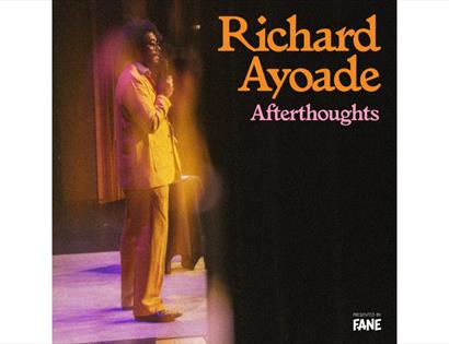 Promotional image for Richard Ayoade: Afterthoughts, showing a performer on stage under warm theatre lighting.