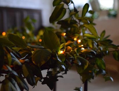 Close-up of a handmade festive wreath with evergreen foliage and warm fairy lights, ready for wreath making.