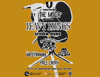 Gig poster for “The Mixer” with Heavy Lungs, Snake Eyes and others, bold black graphics on mustard background, free entry at DLWP.