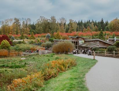 Autumn landscape at Bedgebury with colourful trees, a lakeside path and visitors near the visitor centre.