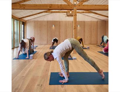 Group practicing yoga poses on mats in a light, wooden studio at The Gallivant in Camber.