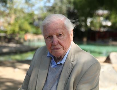 Portrait of a David Attenborough with white hair wearing a beige jacket, photographed outdoors beside water with trees in the background.