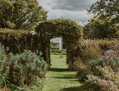 Garden path at King John’s Nursery framed by leafy archway, flowering plants, and greenery.
